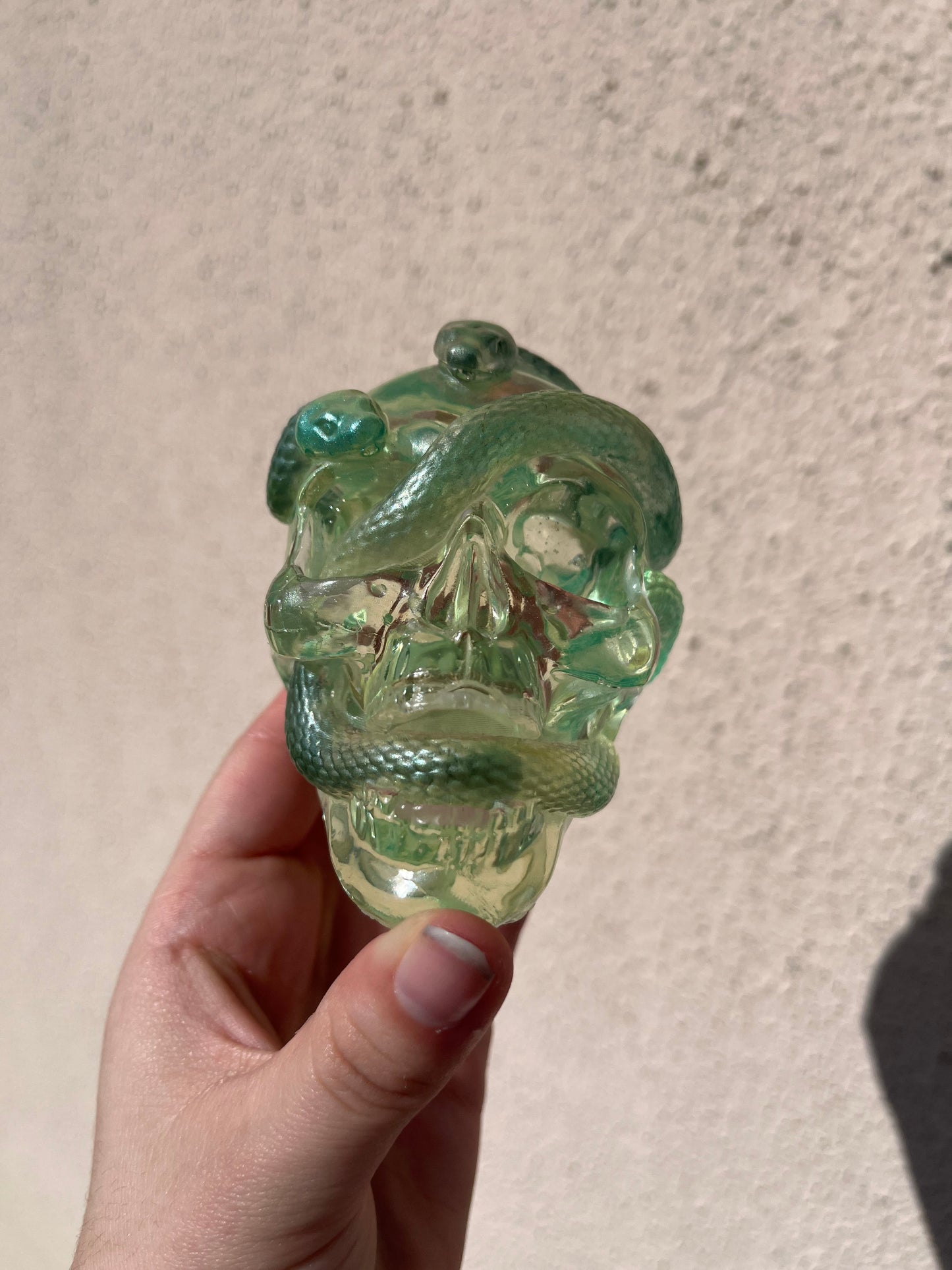 Crâne serpent