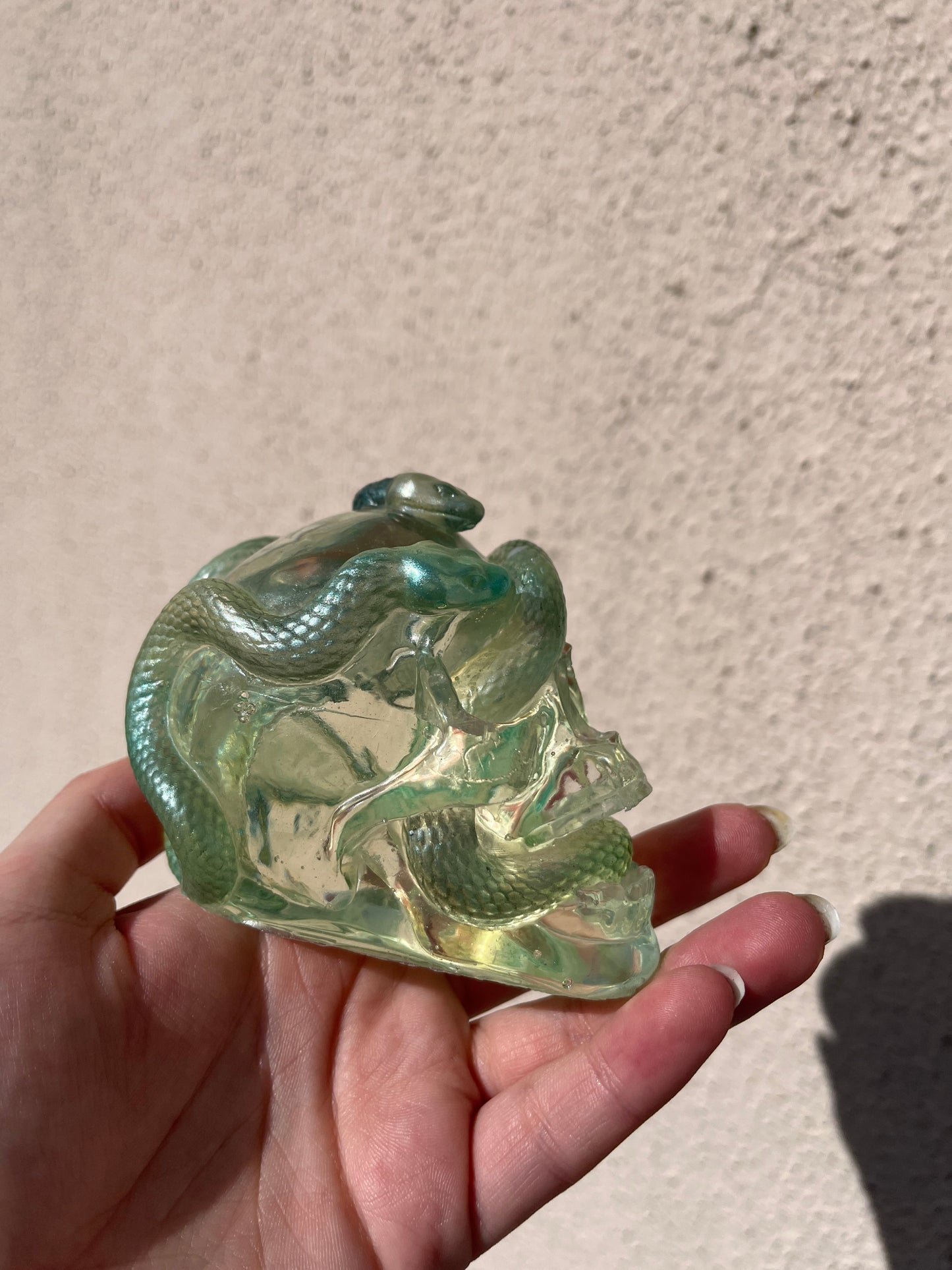 Crâne serpent