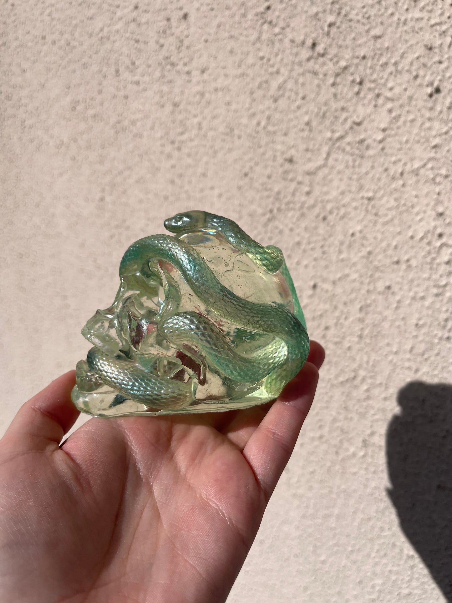 Crâne serpent