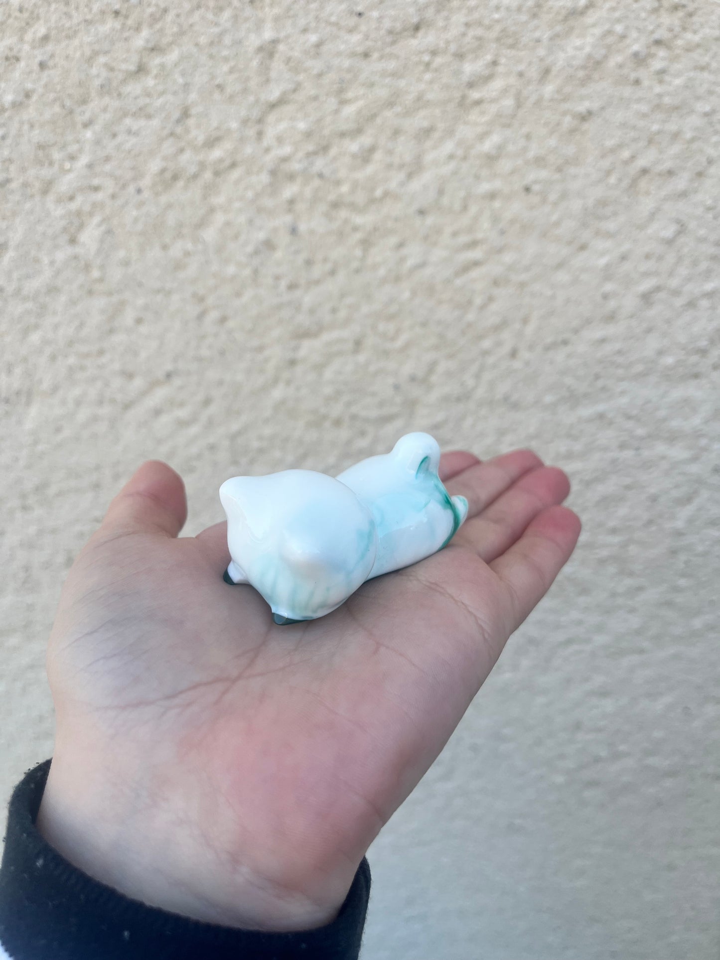 Petit chat blanc