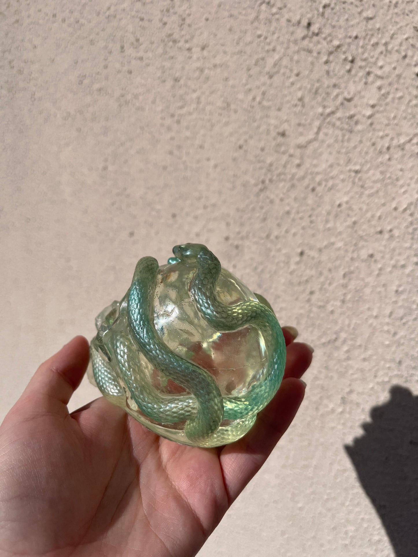 Crâne serpent