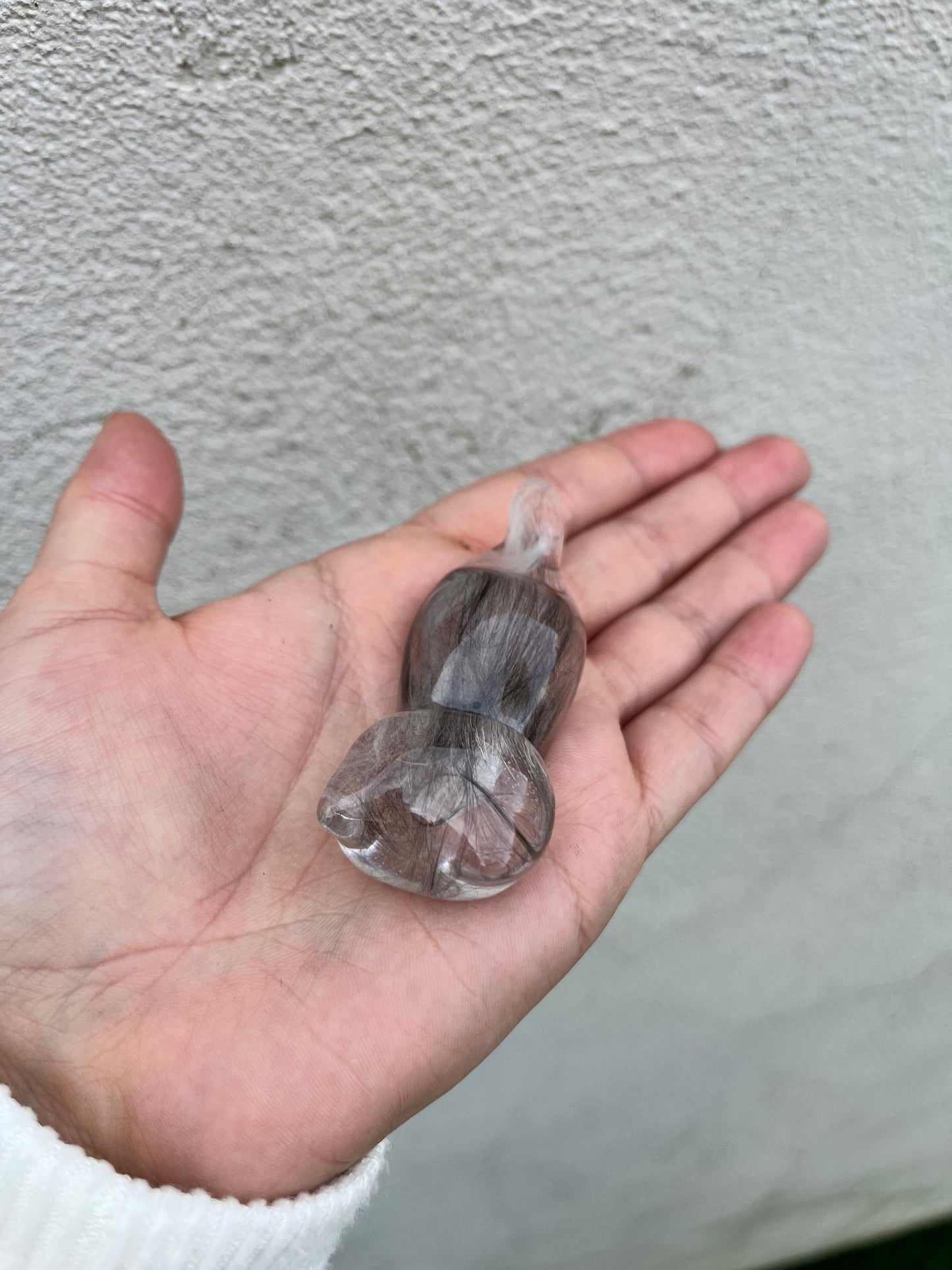 Chat pet memories