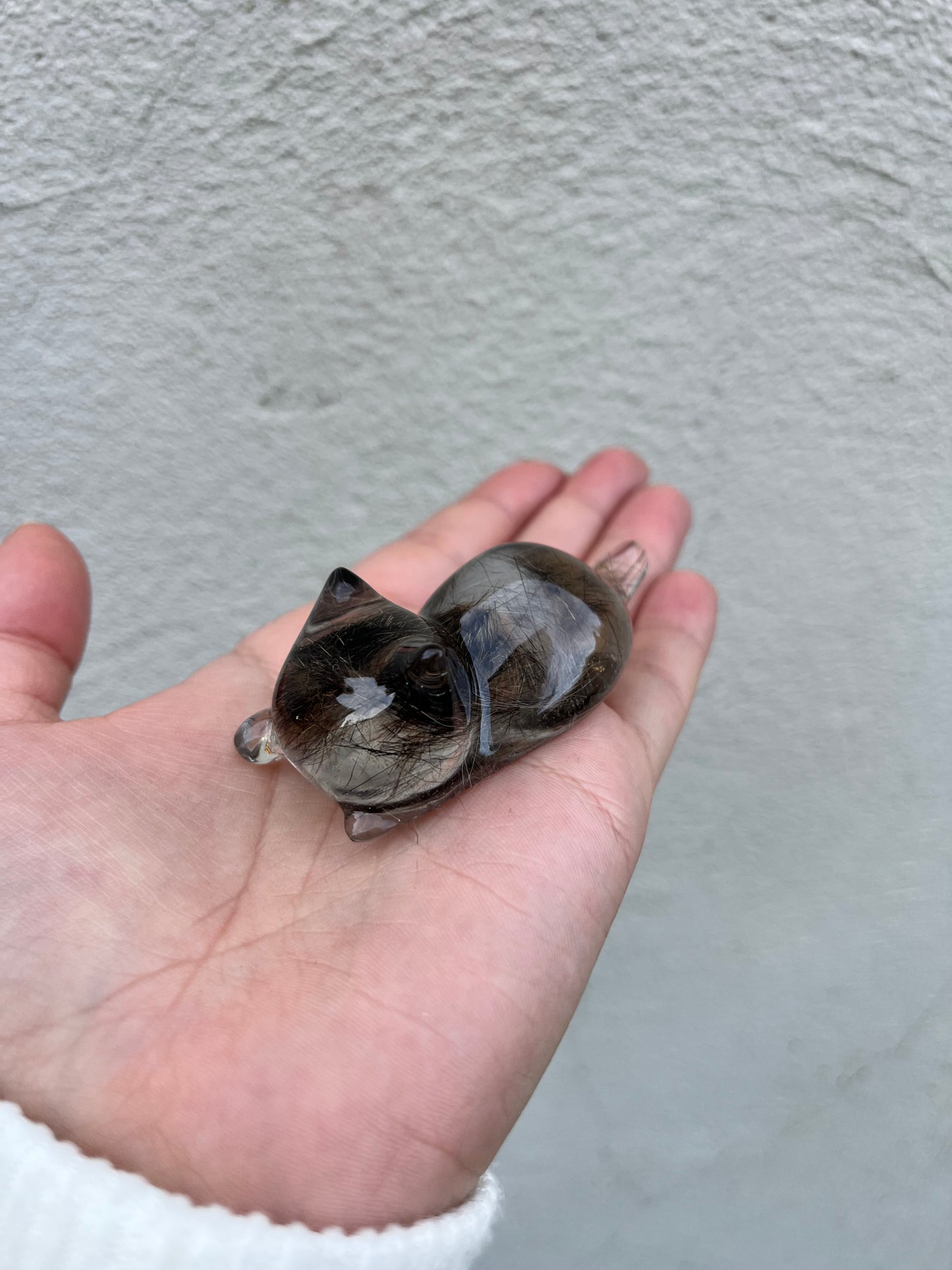Chat pet memories