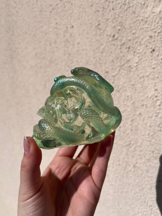 Crâne serpent
